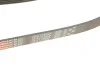 Ремінь генератора Ford Focus II/C-Max/Volvo C30/S40 II/V50 1.8/2.0 04-12 Gates 6PK1249SF (фото 5)
