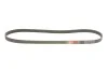Ремінь генератора VW T5 3.2 V6 03-09 Gates 6PK1263 (фото 3)
