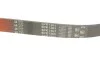 Ремінь генератора VW T5 3.2 V6 03-09 Gates 6PK1263 (фото 5)