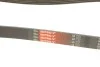 Ремінь генератора VW T5 3.2 V6 03-09 Gates 6PK1263 (фото 6)