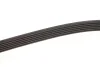 Ремінь генератора Fiat Doblo 1.3D Multijet/1.3JTD/Ford Focus 1.8/2.0 04- Gates 6PK1310 (фото 4)