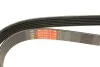 Ремінь генератора Fiat Punto/Opel Combo 1.3 CDTI 05- (+AC) Gates 6PK1320 (фото 6)