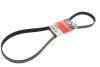 Ремінь генератора Citroen Berlingo/Peugeot Partner 1.6HDI (-AC) ch.10571- Gates 6PK1368