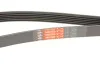 Ремінь генератора Peugeot 206/Partner/Citroen Berlingo/VW Polo 1.1-1.6 02- Gates 6PK1453 (фото 5)