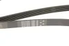 Ремінь генератора Ford Focus/C-Max 1.8 TDCi 05-12/Skoda Octavia 1.4 i 99-01 Gates 6PK1520 (фото 6)