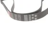 Ремінь генератора VW Golf/BMW/Ford/Opel Gates 6PK1540 (фото 2)