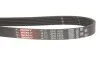 Ремінь генератора Opel Astra 1.7CDTi 03-/Renault Megane/Laguna 1.9-3.0 97-03 Gates 6PK1605 (фото 3)