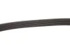 Ремінь генератора Opel Astra 1.7CDTi 03-/Renault Megane/Laguna 1.9-3.0 97-03 Gates 6PK1605 (фото 4)