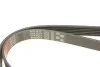 Ремінь генератора Opel Corsa D 1.7CDTI 06-11/Ford Fiesta 1.8DI 00-03 Gates 6PK1613 (фото 5)