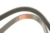 Ремінь генератора Opel Corsa D 1.7CDTI 06-11/Ford Fiesta 1.8DI 00-03 Gates 6PK1613 (фото 6)
