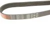 Ремінь генератора Citroen Berlingo/Peugeot Partner 1.6 08- Gates 6PK1700 (фото 6)