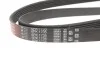 Ремінь генератора BMW 3 (E46)/Audi A6 1.8i/2.7i 00- Gates 6PK1735 (фото 3)