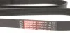Ремінь генератора Dacia Dokker/Duster/Logan 1.4/1.6 04- Gates 6PK1823XS (фото 4)