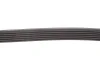 Ремінь генератора Audi A4/A6 2.4 97-05/Jeep Cherokee 2.5 86-90 Gates 6PK1855 (фото 3)