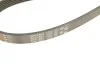 Ремінь генератора MB C-class (W202) 2.0 95-01 Gates 6PK1863 (фото 6)