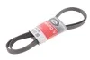 Ремінь генератора VW Passat/Audi A4 2.4/2.6/2.8 95- Gates 6PK1880 (фото 2)
