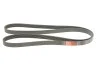 Ремінь генератора Ford Focus 1.4/1.6 16V 98-04 Gates 6PK1915 (фото 3)