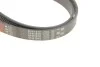 Ремінь генератора Ford Focus 1.4/1.6 16V 98-04 Gates 6PK1915 (фото 5)