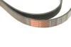 Ремінь генератора Honda Civic IX 1.6-1.8 11-/Mazda MPV II 2.5 V6 99-02 Gates 6PK2093 (фото 6)