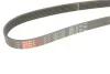 Ремінь генератора MB Sprinter CDI (-AC) Gates 6PK2193 (фото 5)