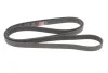 Ремінь генератора VW T4 2.5 90-03/Ford Fiesta/Mondeo 1.8/2.0 00-08/Jeep Grand Cherokee 4.7 01-08 Gates 6PK2223 (фото 4)