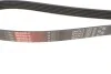 Ремінь генератора Audi A4/A5/A6 3.0 TDI/3.2 FSI 05-/MB E-class (W124/S124) 2.8-3.0T 93-96 M104/M103 Gates 6PK2413 (фото 3)