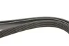 Ремінь генератора Audi A4/A6/A8/Q7 2.7/3.0TDI/VW Touareg 3.0TDI 04-18 Gates 6PK2490 (фото 4)