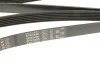 Ремінь генератора Audi A4/A6/A8/Q7 2.7/3.0TDI/VW Touareg 3.0TDI 04-18 Gates 6PK2490 (фото 6)
