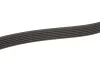 Ремінь генератора Audi A4/A5/A6 2.7TDI/3.0TDI 04-11 Gates 6PK2500 (фото 5)