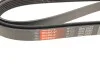 Ремінь генератора Mitsubishi Lancer 1.8 08-/Outlander 2.0-2.4 06- Gates 6PK2563 (фото 6)