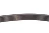 Ремінь генератора MB S-class (W222/V222/X222) 14- Gates 6PK725 (фото 3)
