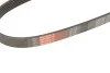 Ремінь генератора Skoda Octavia/Fabia/VW Caddy III/Golf III/V/VI 1.4/1.6 91- Gates 6PK738 (фото 6)