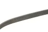 Ремінь генератора Audi A3/Q3/VW Caddy IV/Golf VII 1.0-1.2TSI/1.4TSI 15- Gates 6PK745 (фото 4)