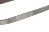 Ремінь генератора Audi A3/Q3/VW Caddy IV/Golf VII 1.0-1.2TSI/1.4TSI 15- Gates 6PK745 (фото 6)