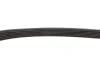 Ремінь генератора Citroen Berlingo/Peugeot Partner 1.6HDI/ Ford Fiesta/Focus 1.4-1.6 TDCi 01- Gates 6PK803 (фото 4)