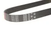 Ремінь генератора Chevrolet Aveo 1.4 06-07 Gates 6PK883 (фото 3)