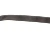 Ремінь генератора Chevrolet Aveo 1.4 06-07 Gates 6PK883 (фото 5)