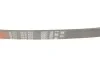 Ремінь генератора Fiat Scudo/Peugeot Expert 1.6 96-06 Gates 6PK893 (фото 5)