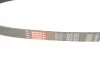 Ремінь генератора Fiat Scudo/Peugeot Expert 1.6 96-06 Gates 6PK893 (фото 6)