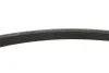 Ремінь генератора Citroen C4/C5 14-/Renault Kangoo/Clio 1.9D 97- Gates 6PK893XS (фото 6)