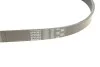 Ремінь генератора Mazda CX 5 Gates 6PK963 (фото 6)