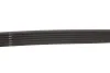 Ремінь генератора Ford Transit/Citroen Berlingo/Peugeot 308 1.6D 13- Gates 6PK965 (фото 4)