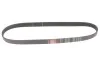 Ремінь генератора Ford Transit/Citroen Berlingo/Peugeot 308 1.6D 13- Gates 6PK965 (фото 5)