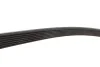 Ремінь генератора BMW 3 (E90)/Opel Movano 2.0i/2.5DTI 03- Gates 7PK1103 (фото 4)