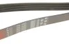 Ремінь генератора BMW 5 (E39)/7 (E38)/X5 (E53) 3.5/4.4 90-03 M62 Gates 7PK1633 (фото 5)