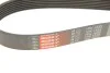 Ремінь генератора BMW 5 (E39)/7 (E38)/X5 (E53) 3.5/4.4 90-03 M62 Gates 7PK1633 (фото 6)