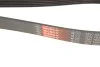 Ремінь генератора Nissan Patrol 3.0 DTi 00- Gates 7PK1640 (фото 6)