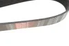 Ремінь генератора Renault Megane II 2.0 dCi 05-09 Gates 7PK1705 (фото 4)