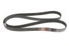 Ремінь генератора Land Rover Discovery/Range Rover 2.5 Td5/3.9-4.6 93-04 Gates 7PK1870 (фото 5)