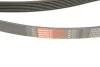 Ремінь генератора Ford Scorpio II/Toyota Camry 2.4i/3.5i 94- Gates 7PK1905 (фото 6)